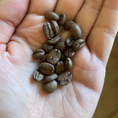 Ugandan Sipi Falls Coffee – Single-Origin, Whole Bean, Organic – Lemon, nougat, milk, chocolate – Ideal for Espresso & French Press – 12oz